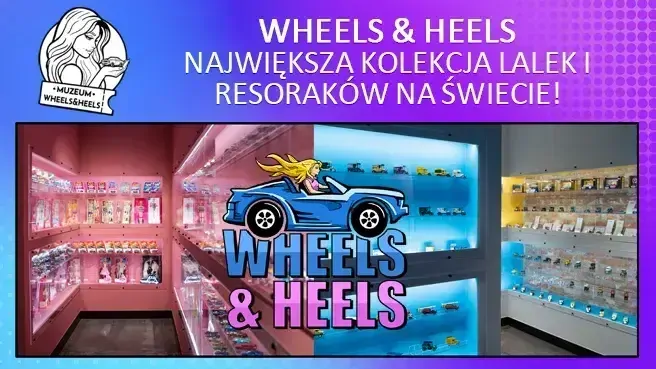 Wheels & Heels